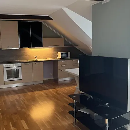 Loftsleilighet I Gagate Lejlighed Skien