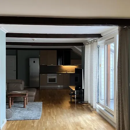 Loftsleilighet I Gagate
