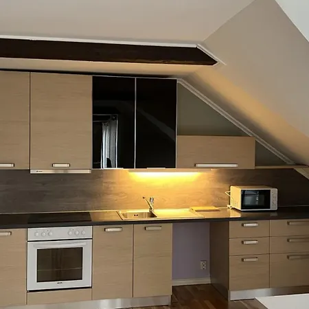 Loftsleilighet I Gagate *